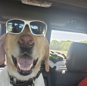 Meet your Posher, Craig